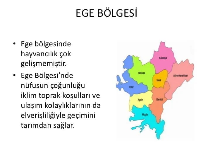 Ege Bölgesi haritası ve bölge özelliklerini anlatan sunum sayfası